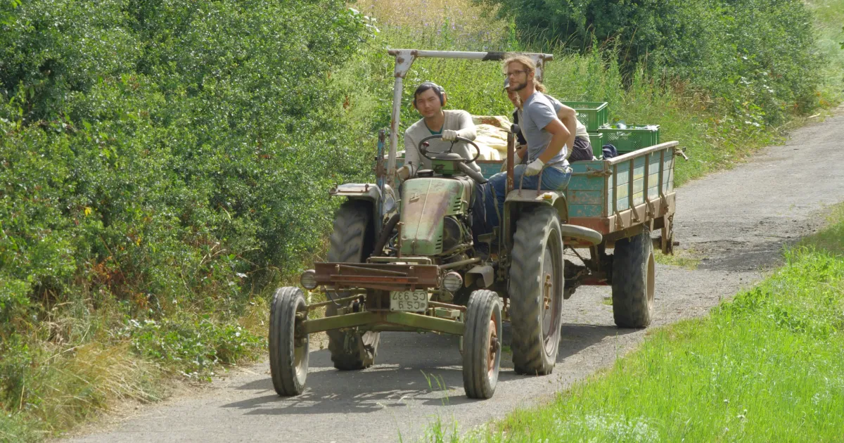 Les pieges du woofing