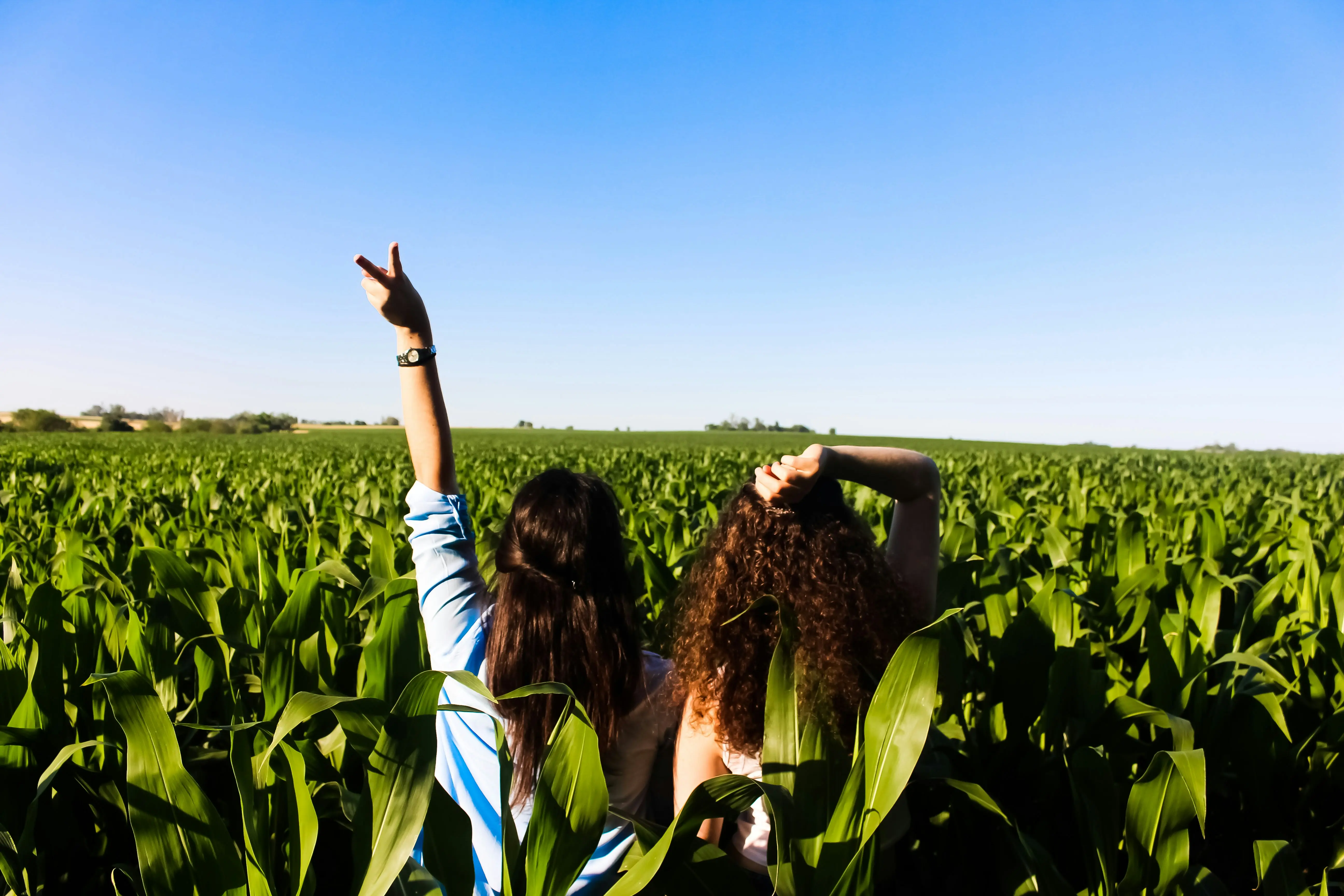 Woofing : voyager autrement en travaillant dans une ferme bio