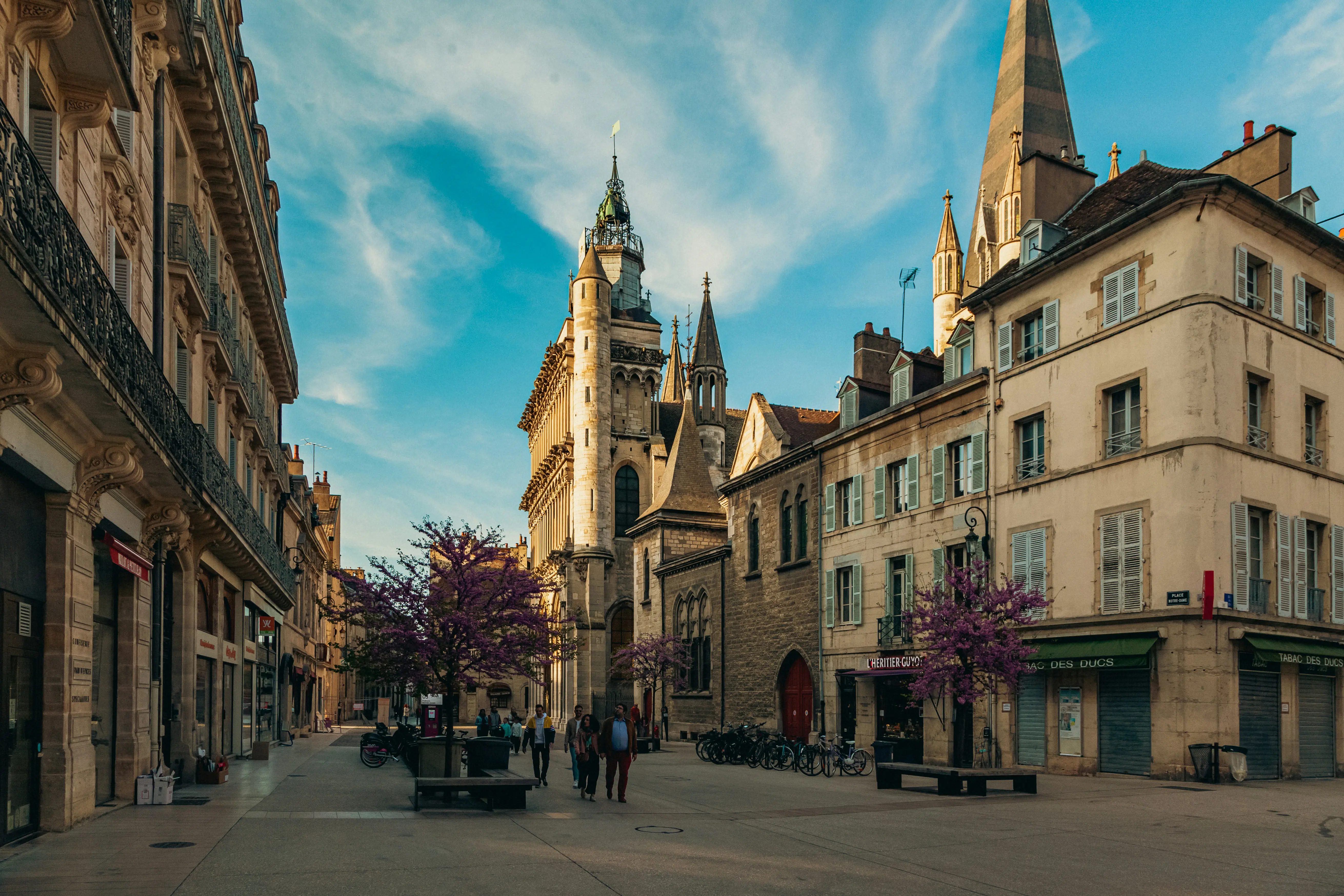 Échange appartement Dijon 2026 : guide complet pour vivre la capitale des Ducs de Bourgogne sans payer le loyer dijonnais