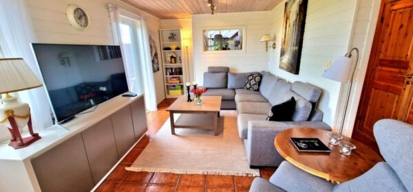Norway 🔁 Anywhere in the world — Living room — photo 1